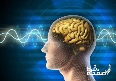 این افراد حجم مغز کمتری دارند!