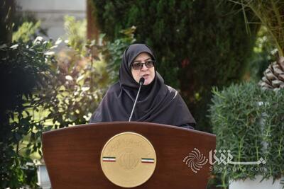 سخنگوی دولت: امیدواریم در بررسی CFT «مصالح ملی، منافع اقتصادی و ملاحظات بین‌المللی» دیده شود | شفقنا