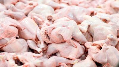 کاهش ۴ درصدی عرضه گوشت طیور در فروردین ۱۴۰۴