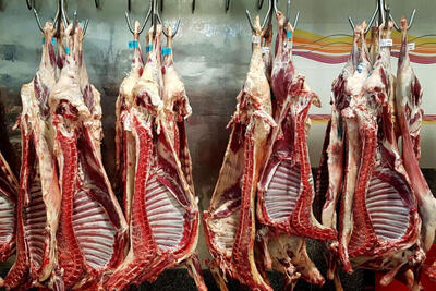 ​​​​​​​ارز گوشت قرمز، تهدید یا فرصت؟
