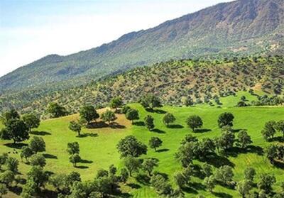 الزام واحدهای بزرگ منابع طبیعی به تولید برق - تسنیم