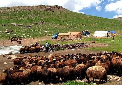دام‌های عشایر ورامین قربانی فاضلاب کارخانه‌های آلاینده- فیلم فیلم استان تسنیم | Tasnim