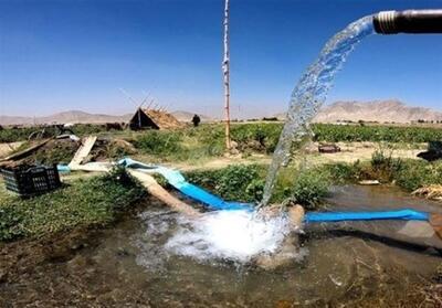 ‌بحران آب‌بها در مازندران؛ کشاورزان در تنگنای اقتصادی - تسنیم