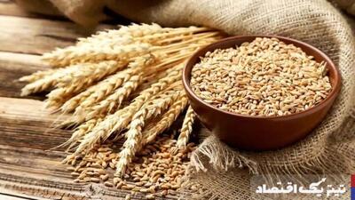 از رویای خودکفایی تا واردات گندم/ میزان خرید تضمینی گندم به یک‌ میلیون تن رسید