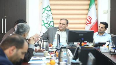 اخ‌الصنایع: ۴۳ ملک بزرگ‌مقیاس شناسایی شد