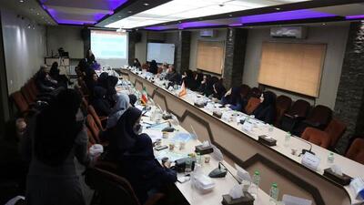 گردهمایی سراسری کارشناسان همیاران سلامت روان اجتماعی کشور در کردستان