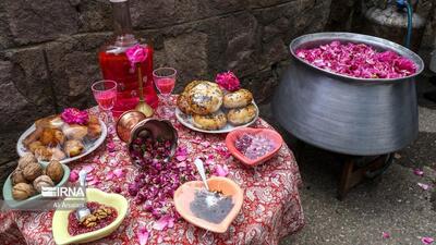 آغاز جشنواره گلاب گیری در البرز