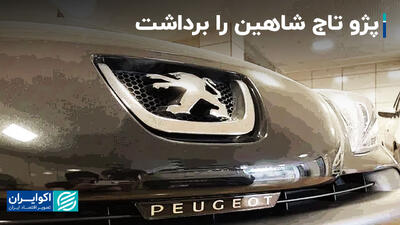 بازار خودرو از سقوط شاهین شوکه شد+ فیلم