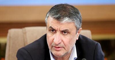 واکنش رئیس سازمان انرژی اتمی ایران به درخواست ترامپ + فیلم