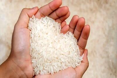 قیمت برنج ایرانی امروز ۲۵ اردیبهشت ۱۴۰۴ | برنج طارم ممتاز کیلویی چند؟