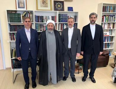 رئیس سازمان فرهنگ و ارتباطات اسلامی از بنیاد مطالعات فرهنگ اسلامی ابن‌سینا بازدید کرد