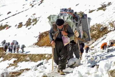 کارت مجاز کولبری صادر شد