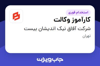 استخدام کارآموز وکالت در شرکت آفاق نیک اندیشان بیست