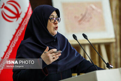 پس لرزه تصویب پالرمو در مجمع تشخیص مصلحت نظام/ مهاجرانی: در بررسی CFT ملاحظات بین المللی و منافع اقتصادی دیده شود