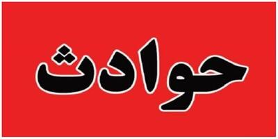 شکایت دختر جوان از بازیگر معروف سینما و تلویزیون به اتهام تعرض / مرا به خانه اش برد و ...