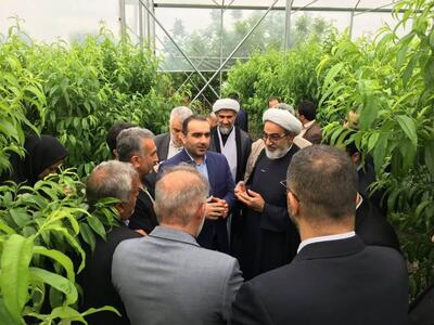 بازدید رئیس سازمان قضایی نیروهای مسلح از گلخانه مکانیزه سیاه چنار شهرستان میاندرود