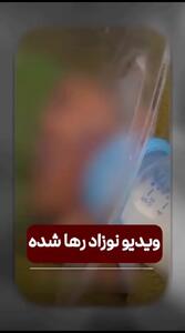 نوزاد رها شده به شیرخوارگاه احسان تحویل داده شد / حال نوزاد خوب است + فیلم