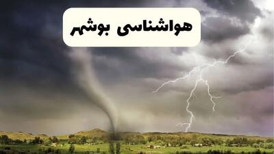 پیش بینی وضعیت آب و هوا بوشهر فردا ۲۶ اردیبهشت ۱۴۰۴ | هواشناسی بوشهر فردا جمعه ۲۶ اردیبهشت