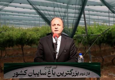 نوری: ایران در 30 محصول باغی رتبه‌های یک تا دهم دنیا را دارد - تسنیم