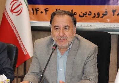 خانواده‌های دارای فرزند چندقلوی نیازمند حمایت‌های ویژه هستند - تسنیم