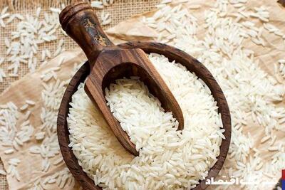 افزایش قیمت برنج در راه است