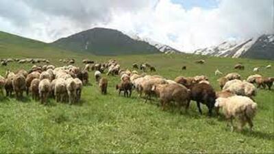 احیای ۹۰۰ هزار هکتار مرتع در اردبیل