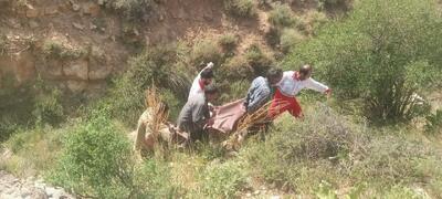 سقوط مرگبار یک چوپان در ارتفاعات