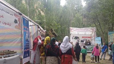 استقبال از دومین جشنواره شاتوت در روستای هزاررود طارم