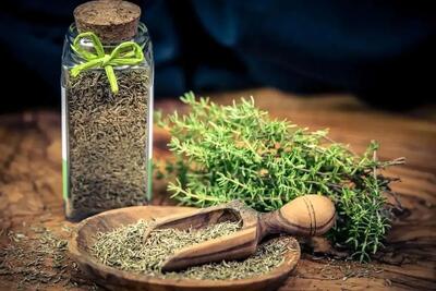 2 گیاه دارویی با خواص ضدسرفه و آرام‌بخش