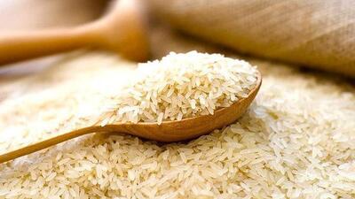 متهم اصلی گرانی برنج ایرانی کیست؟ | اقتصاد24