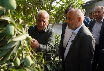 بررسی اتصال کشاورزان هرمزگان و کرمان در جهت ساخت زنجیره تامین و ارزش