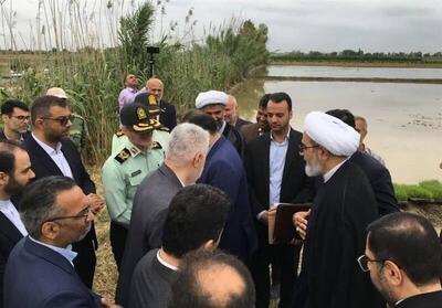 معاون قوه قضائیه‌: با دلالان در بازار برنج برخورد می‌کنیم
