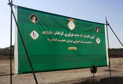 کارخانه گیاهان دارویی گچساران خاک می‌خورد+ جزییات