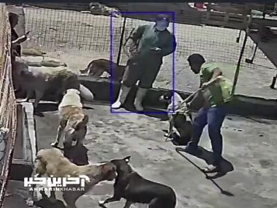 لحظه حمله سگ به کارشناس دامپزشکی