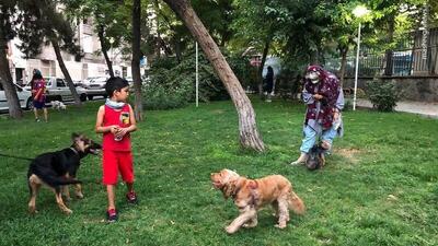 دیگر پارک هم برای کودکان امن نیست/ خط سگ‌گردان‌ها بیشتر از اراذل و اوباش است/ از آب‌خودن حیوانات تا فایت و جنگ سگ‌ها در پارک!