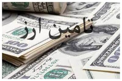 کالاهای اساسی و دارو چقدر ارز دریافت کرد؟