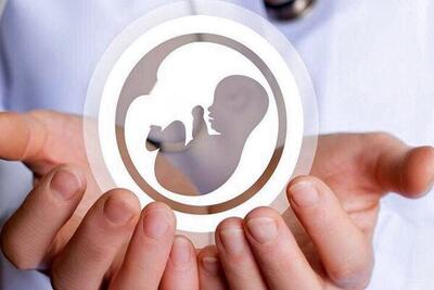 هشدار ایلان ماسک درباره کاهش نرخ فرزندآوری - اکونیوز