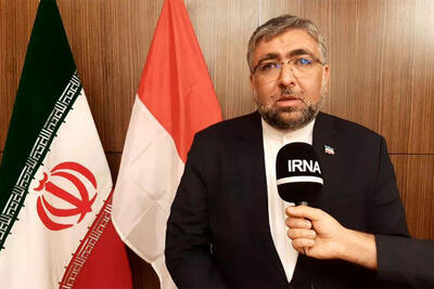 عمویی: ایران و کشورهای مسلمان مواضعی محکم و قاطع درباره غزه اتخاذ کردند