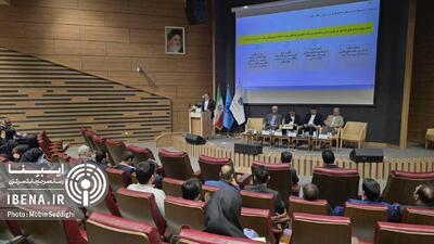 صندوق ضمانت سپرده به‌طور قانونی مدیر فرآیند گزیر است