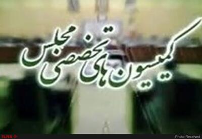 رسـیدگی به طرح اصـلاح ماده ۵۹ قانون آئین نامه داخلی مجلس در خصوص کمیته های فرعی کمیسیون‌ها