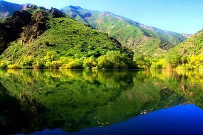 سردمداران علم پزشکی، زاده روستایی از توابع تفرش