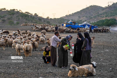 طبیعت بکر لنده میزبان عشایر جنوب کشور