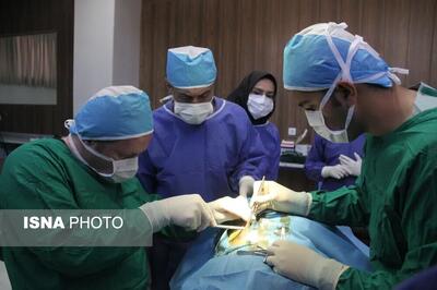 تاکید فرماندار مهدیشهر بر حمایت از پروژه‌های علمی - تحقیقاتی جهاد دانشگاهی سمنان