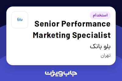 استخدام Senior Performance Marketing Specialist در بلو بانک