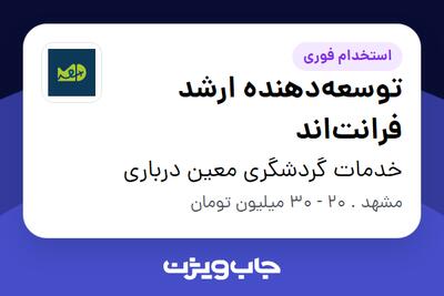 استخدام توسعه‌دهنده ارشد فرانت‌اند در خدمات گردشگری معین درباری