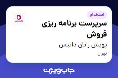 استخدام سرپرست برنامه ریزی فروش در پویش رایان داتیس