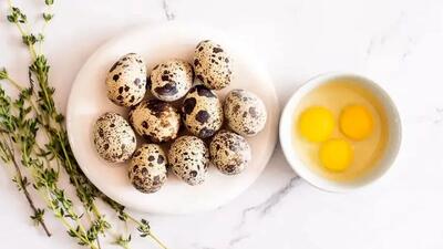 آیا خوردن تخم بلدرچین برای زنان باردار خطرناک است؟