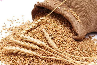 ۲میلیارد ریال زکات در دره شهر جمع آوری شد