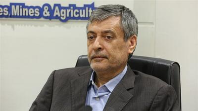 سرمایه‌گذاران بزرگ را برای توسعه کرمان تشویق کنید