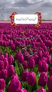 جملات مثبت بهاری + فیلم